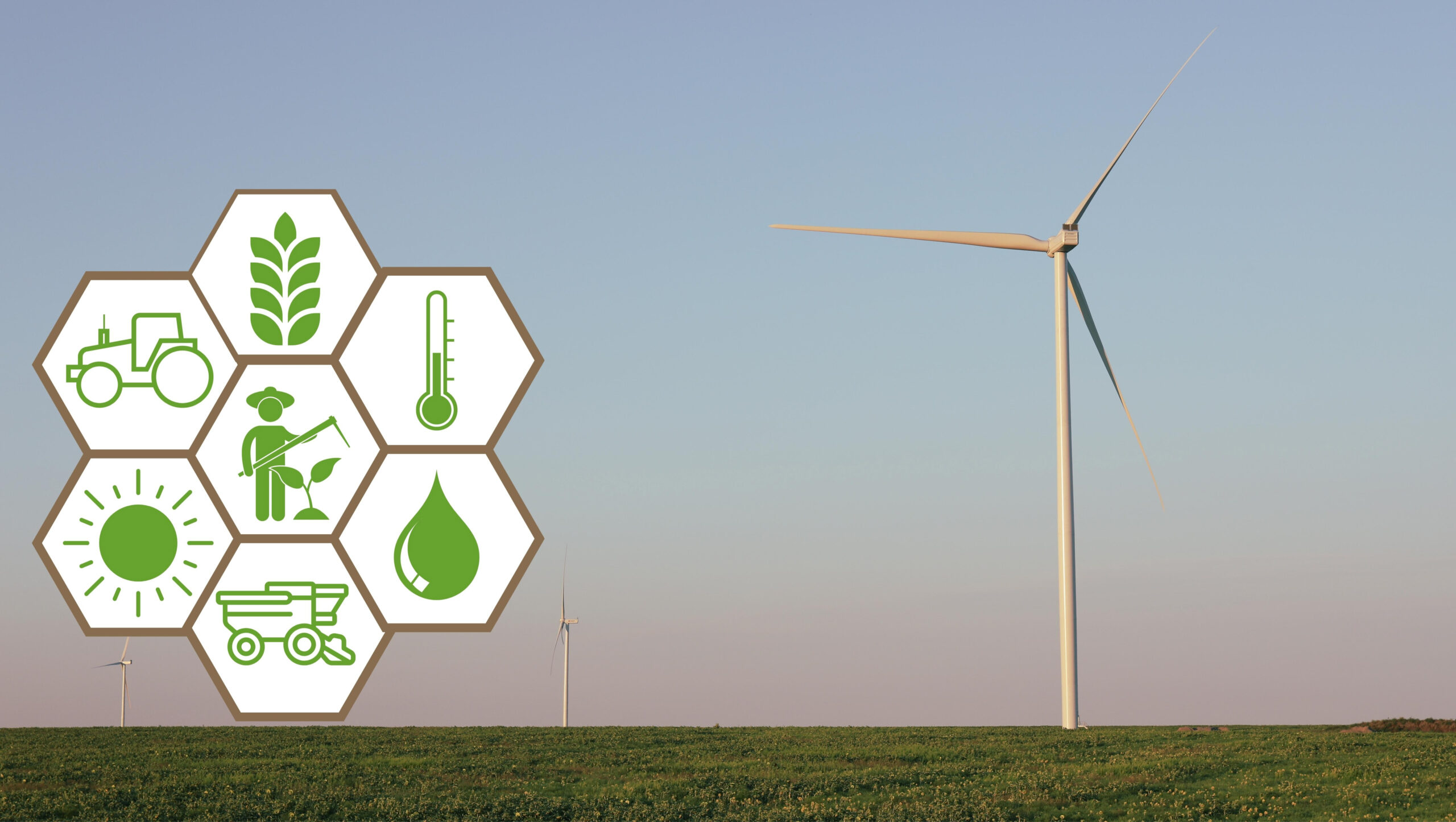 Green Hydrogen: Legal and Regulatory Framework in India